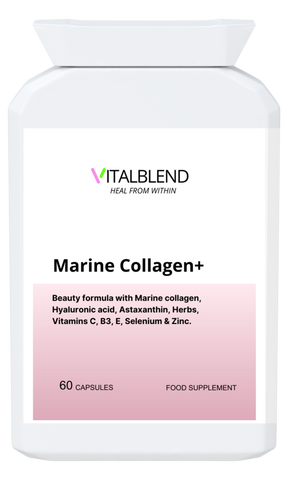 Marine Collagen+